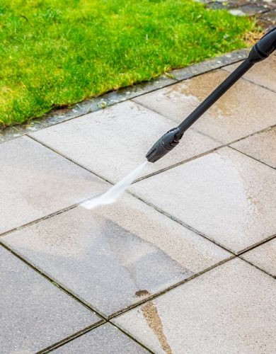 Home Shutterstock 2290488145 390x500 1