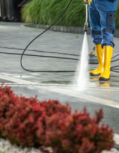 Home Shutterstock 2346794469 390x500 1